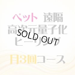 画像1: 11/3、11/13、11/23 月3回【ペット】遠隔ヒーリング