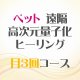 3/3、3/13、3/23 月3回【ペット】遠隔ヒーリング