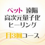 画像: 12/3、12/13、12/23 月3回【ペット】遠隔ヒーリング